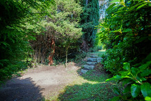 Knowle Lane Ecclesall
